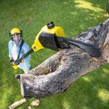 Best Lawn Watering Services  in Mount Plymouth, FL