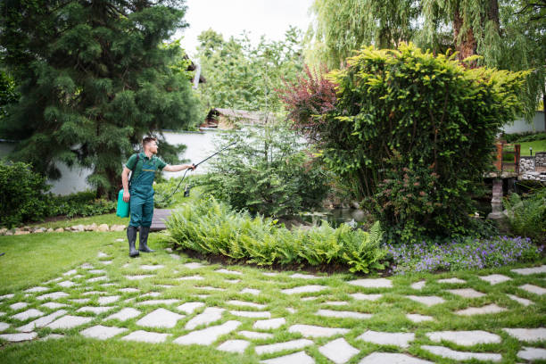 Lawn Renovation and Restoration in Mount Plymouth, FL