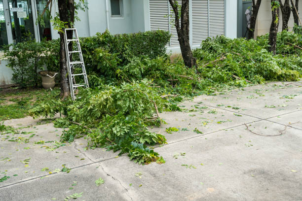 Best Aeration Services  in Mount Plymouth, FL